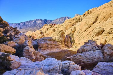 Nevada 'daki nefes kesici Red Rock Kanyonu' nu deneyin. Canlı mavi bir gökyüzü altında kayaların oluşumlarının dünyevi tonlarına ve benzersiz dokularına hayret edin. Macera ve keşif meraklıları için mükemmel.