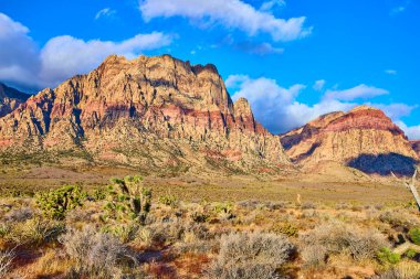 Oak Creek Patikası 'ndaki Red Rock Kanyonu' nun nefes kesici güzelliğini görün. Las Vegas, Nevada yakınlarındaki parlak mavi gökyüzünün altındaki parlak kumtaşı uçurumlarında bir mucize..