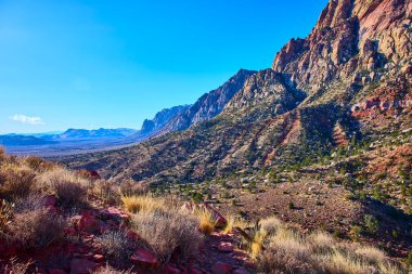 Las Vegas yakınlarındaki Oak Creek Patikası 'ndaki Kızıl Kayalıklar' ın engebeli güzelliğini keşfedin. Canlı çöl manzarasını ve Nevada 'nın berrak mavi gökyüzünü deneyin..