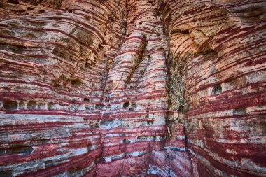 Calico, Las Vegas, Nevada 'da tortulu bir kaya oluşumunun canlı kırmızı ve bej çizgileri. Sanatsal özellikleri vurguluyor, bu yakın plan kurak manzaranın dokusunu ve esnekliğini yakalıyor..