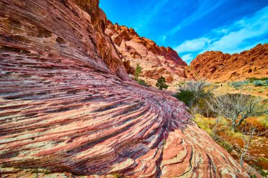 Las Vegas, Nevada yakınlarındaki Calico 'daki Kızıl Kaya Kanyonu' nun çarpıcı kumtaşı oluşumlarını araştırın. Berrak mavi gökyüzünün altında canlı renklerin ve sonsuz güzelliğin tadını çıkar. Maceranın mükemmel bir karışımı ve...