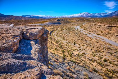 Engebeli kayalar ve ikonik Joshua ağaçlarıyla görkemli Nevada çöl manzarası. Karla kaplı Charleston Dağı açık mavi gökyüzünün altında, macera ve doğa gezisi meraklıları için mükemmel..