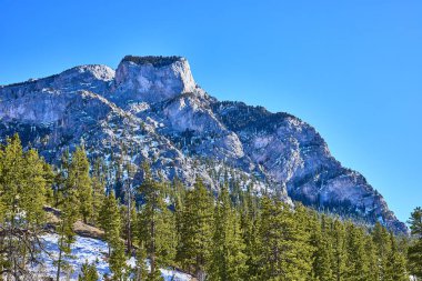 Nevada 'daki Charleston Dağı' nın nefes kesici manzarası karla kaplı Amerikan dağlarının ve parlak mavi gökyüzünün altındaki yemyeşil ormanların engebeli güzelliğini gözler önüne seriyor. Macera ve sükunet için mükemmel..