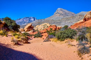 Nevada Red Rock Kanyonu 'nun nefes kesici güzelliğini keşfedin. Calico Tank Yolu 'ndaki canlı çöl manzarasını keşfedin. Çarpıcı kaya oluşumları ve engebeli dağların birleştiği engin mavi bir yer.