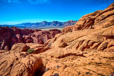 Nevada 'daki Red Rock Kanyonu' nun engebeli güzelliğini keşfedin. Açık mavi gökyüzüne karşı çarpıcı kumtaşı oluşumlarıyla bu ikonik çöl manzarası macera ve keşfin özünü yakalar..