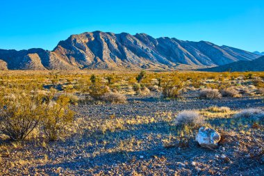 Altın renkler, sakin altın saat boyunca Nevada 'da Charleston Dağı' nı yıkıyor. Engin bir gökyüzünün altındaki engebeli tepeler seyrek çöl bitkileriyle sakin bir Güneybatı Amerika manzarası yaratır. Yolculuk için mükemmel.