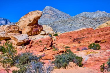 Nevada 'daki Calico Tank Yolu' ndaki Kızıl Kaya Kanyonu 'nun canlı kumtaşı oluşumlarını araştırın. Açık mavi gökyüzüne karşı çarpıcı kırmızı renkler Amerikan Güneybatısı 'nın nefes kesici bir manzarasını sunuyor.