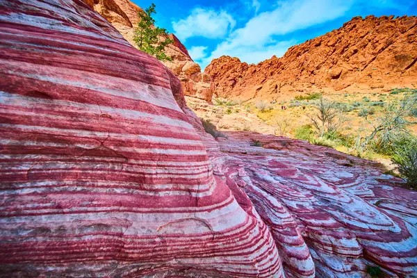 Nevada 'daki Ateş Eyaleti Vadisi Parkı' ndaki kırmızı ve beyaz kumtaşı oluşumlarının nefes kesici görüntüsü. Canlı renkler ve karmaşık desenler çölleri, jeolojik harikaları ve doğal güzellikleri vurgular..