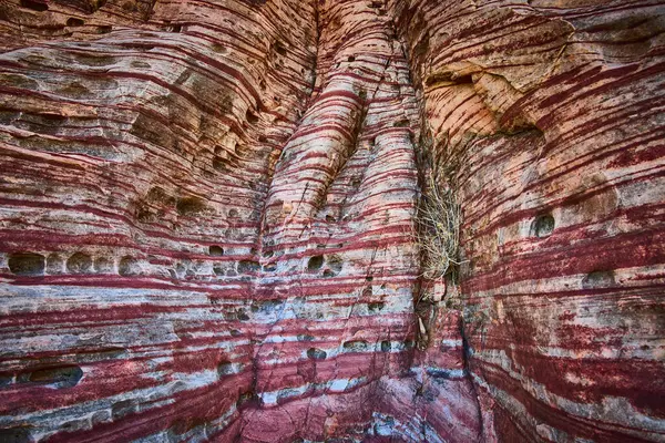 Calico, Las Vegas, Nevada 'da tortulu bir kaya oluşumunun canlı kırmızı ve bej çizgileri. Sanatsal özellikleri vurguluyor, bu yakın plan kurak manzaranın dokusunu ve esnekliğini yakalıyor..
