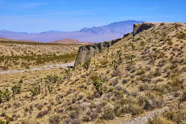 Las Vegas yakınlarındaki engin çöl manzaraları açık mavi gökyüzüne karşı eşsiz Joshua ağaçları sergiliyor. Engebeli arazi ve uzak dağlar, doğal direnç ve güzelliği vurgulayan sakin bir zemin oluşturur..