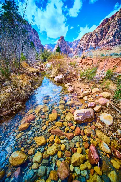 Las Vegas, Nevada 'daki Pine Creek Kanyonu' nun dingin güzelliğini görün. Kristal gibi berrak bir dere, görkemli kızıl kaya kayalıklarının arasında dolanıp doğa ve macera meraklıları için çarpıcı bir manzara sunuyor..