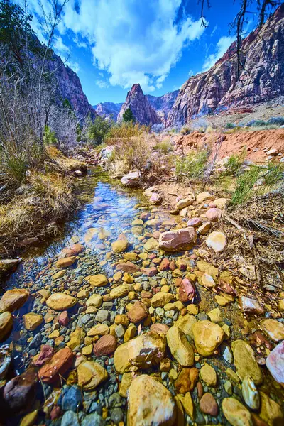 Las Vegas 'taki Pine Creek Kanyonu' nun huzurlu güzelliğini keşfedin. Berrak bir derenin altındaki taşlardan oluşan canlı bir mozaik, görkemli kızıl kaya oluşumlarına ve parlak mavi gökyüzüne karşı kurulmuş. Tam oldu.