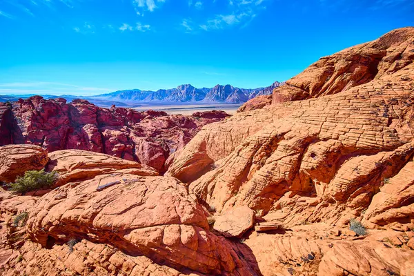 Nevada 'daki Red Rock Kanyonu' nun nefes kesici manzarası. Canlı kırmızı kumtaşı oluşumları açık mavi gökyüzü ile tezat oluşturuyor. Geniş çöl, uzak dağlara doğru uzanır.