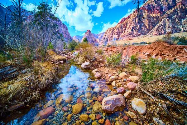 Las Vegas 'taki Pine Creek Kanyonu' nda sükuneti keşfet. Bu nefes kesen çöl manzarasında, macera ve doğa meraklıları için mükemmel, berrak bir dere canlı kızıl kaya uçurumlarından akar..