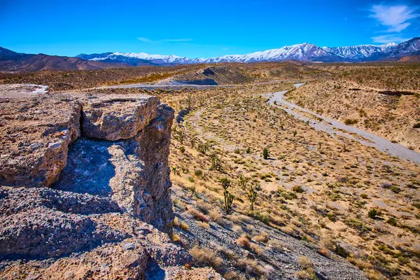 Engebeli kayalar ve ikonik Joshua ağaçlarıyla görkemli Nevada çöl manzarası. Karla kaplı Charleston Dağı açık mavi gökyüzünün altında, macera ve doğa gezisi meraklıları için mükemmel..