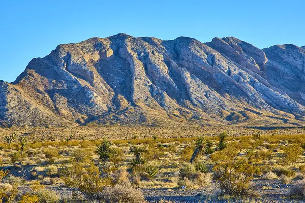 Nevada Charleston Dağı 'nın çarpıcı güzelliğinin tadını çıkarın. Engebeli dağlar ve seyrek çöl bitkileri Las Vegas yakınlarındaki bu sakin yabanın sakin izolasyonunu ve dayanıklılığını simgeliyor..