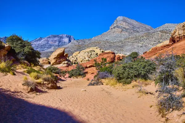 Nevada Red Rock Kanyonu 'nun nefes kesici güzelliğini keşfedin. Calico Tank Yolu 'ndaki canlı çöl manzarasını keşfedin. Çarpıcı kaya oluşumları ve engebeli dağların birleştiği engin mavi bir yer.