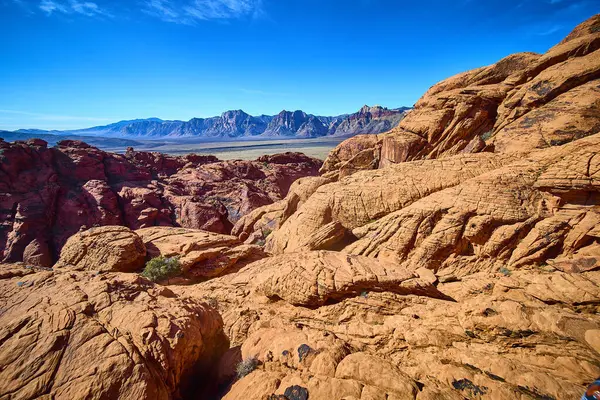 Nevada 'daki Red Rock Kanyonu' nun engebeli güzelliğini keşfedin. Açık mavi gökyüzüne karşı çarpıcı kumtaşı oluşumlarıyla bu ikonik çöl manzarası macera ve keşfin özünü yakalar..