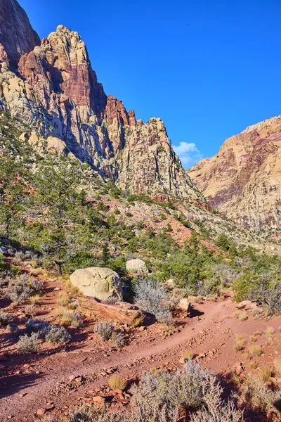 Nevada 'daki Kızıl Kaya Kanyonu' nun engebeli güzelliğini keşfedin. Bu çarpıcı çöl manzarası, açık mavi gökyüzü altında canlı kaya oluşumlarını gösteren Oak Creek Patikası boyunca maceraya davetiye çıkarıyor..