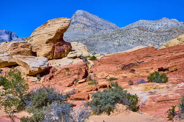 Nevada 'daki Calico Tank Yolu' ndaki Kızıl Kaya Kanyonu 'nun canlı kumtaşı oluşumlarını araştırın. Açık mavi gökyüzüne karşı çarpıcı kırmızı renkler Amerikan Güneybatısı 'nın nefes kesici bir manzarasını sunuyor.