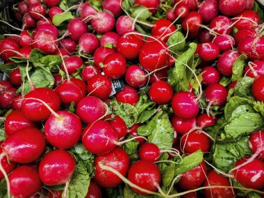 Taze toplanmış turplar, zengin kırmızı renkler ve canlı yeşil yapraklar Las Vegas pazarında çiğ taneleriyle parıldıyor. Organik sebzeleri ve sağlıklı beslenmeyi teşvik etmek için mükemmel..