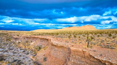 Las Vegas yakınlarındaki Red Rock Kanyonu 'nun dramatik hava manzarası fırtınalı gökyüzünün altında çöl manzaralarını yakalar. Engebeli uçurumlar ve ıssız bir ağaç doğanın güzelliğini ve dayanıklılığını ön plana çıkarıyor..