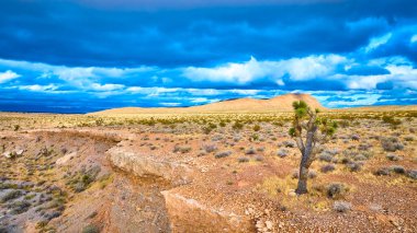 Las Vegas, Nevada yakınlarındaki engebeli bir çöl manzarasında Kızıl Kaya Kanyonu 'ndaki dramatik fırtına bulutlarına karşı dayanıklı bir Joshua ağacı görülüyor. Yalnızlığın ve doğal güzelliğin vücut bulmuş hali..