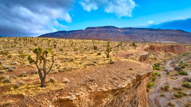 Kızıl Kaya Kanyonlarının havadan görünüşü kayalıkları ve Nevada 'daki Joshua ağaçlarını vurdu. Görkemli dağlar ve dinamik gökyüzü keşif ve macera temaları için ideal sakin bir çöl manzarası yaratır..