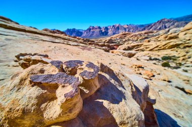 Las Vegas yakınlarındaki Red Rock Kanyonu 'nun çarpıcı güzelliğini keşfedin. Güneşli kaya oluşumları, bu sakin çöl manzarasında yolculuk ve macera ilhamı için mükemmel olan karmaşık dokuları ortaya koymaktadır..