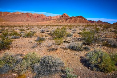 Nevadas Northshore Yolu 'nun engebeli çöl manzarası, dayanıklı çalıları ve çarpıcı dağlık aralığı ile engin mavi gökyüzü altında hayatta kalma ve yalnızlık temalarını anımsatan saf güzelliğini deneyimleyin..