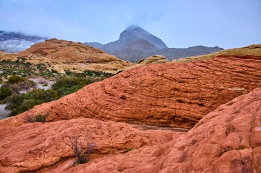 Nevada 'daki Red Rock Kanyonu' nun nefes kesici güzelliğini tecrübe edin. Canlı katmanlı oluşumlar ve seyrek çöl bitki örtüsü heybetli Kaplumbağa Kafa Tepesi sisle kaplıydı. Doğa aşıkları için mükemmel.