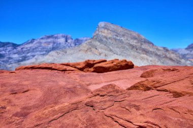 Las Vegas yakınlarındaki Red Rock Kanyonu 'nda açık mavi bir gökyüzü altında canlı kırmızı kaya oluşumlarını keşfedin. Bu çarpıcı çöl manzarası maceracılar ve doğa meraklıları için mükemmeldir..