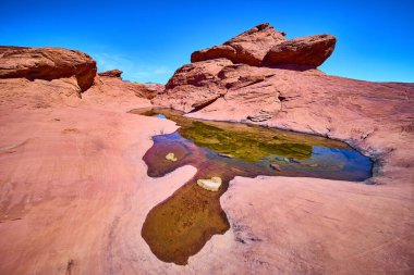 Nevada 'daki büyüleyici Kızıl Kaya Kanyonu açık mavi gökyüzü altında canlı kırmızı kumtaşı oluşumları sergiliyor. Huzurlu bir su havuzu bu çarpıcı çöl manzarasını yansıtır, huzuru engebeli bir çöl ile harmanlar.
