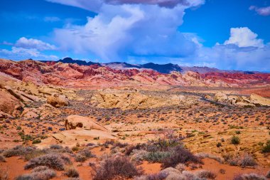 Nevada 'daki Ateş Vadisi' nde maceralı bir yolculuğa çıkın. Uçsuz bucaksız mavi gökyüzünün altında hareketli kumtaşı oluşumlarına ve dolambaçlı yollara hayret ederek Amerikan Güneybatısının özünü yakalıyor..
