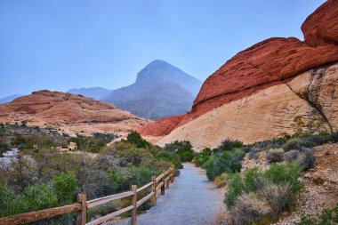 Las Vegas yakınlarındaki Red Rock Kanyonu 'nun çarpıcı kırmızı ve bronz kaya oluşumlarını keşfedin. Manzaralı yolda yürüyün ve Amerikan Güneybatı Çölü manzarasının dingin güzelliğini ve macerasını yaşayın..