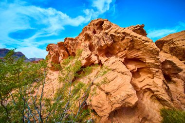 Nevada, Boulder City 'deki Redstone Dune' un engebeli güzelliğini keşfedin. Görkemli kumtaşı oluşumları canlı mavi gökyüzü ile buluşur, çöl macerasının ve doğal harikanın özünü yakalar..