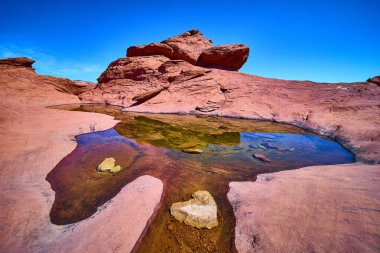 Nevada Red Rock Kanyonu 'nun engebeli güzelliğini keşfedin. Berrak mavi gökyüzünün altında canlı kırmızı kaya oluşumlarına ve durgun su yansımalarına hayret ederek, doğal esnekliğin özünü yakalıyor..