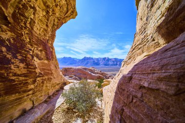Las Vegas yakınlarındaki Red Rock Kanyonu 'nun engebeli güzelliğini keşfedin. Parlak mavi gökyüzü altındaki görkemli kayalıklar ve geniş manzaralarla çerçevelenmiş bu çarpıcı çöl manzarasında esnek bir çalılık gelişir..