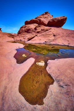 Nevada 'daki Red Rock Kanyonu' nun nefes kesici güzelliğini keşfedin. Bu çarpıcı çöl manzarasında berrak mavi gökyüzünü yansıtan canlı kırmızı kumtaşı oluşumlarına ve durgun su havuzlarına hayret ediyorum..
