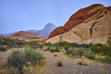 Las Vegas, Nevada yakınlarındaki çarpıcı Red Rock Kanyonunu keşfedin. Görkemli kumtaşı oluşumlarına hayret edin ve çöl bitkilerinin arasında, Kaplumbağa Kafa Tepesi 'nin huzur dolu güzelliğini tecrübe edin..