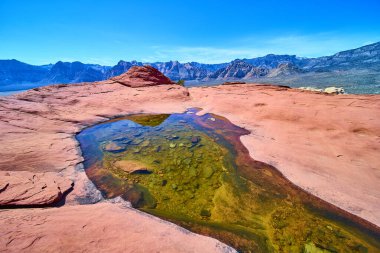 Nevada 'daki Red Rock Kanyonu' nun huzur veren güzelliğini keşfedin. Sakin bir havuz, engin mavi gökyüzünü yansıtır. Kırmızımsı bir kumtaşına yerleşmiş, engebeli dağlar bu çöl manzarasını tamamlar..