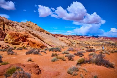 Nevada Moapa Vadisi 'ndeki çarpıcı Ateş Vadisi' ni keşfedin. Canlı kaya oluşumlarının engin mavi gökyüzü ile buluştuğu yeri. Yalnız bir maceracı, çöl manzarasının saf güzelliğini ve enginliğini yakalar..