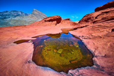 El değmemiş havuz, Nevada, Red Rock Kanyonu 'ndaki canlı çöl renklerini yansıtıyor. Görkemli oluşumlar ve açık gökyüzü Kaplumbağa Kafa Tepesi 'nin dingin güzelliğini yansıtıyor. Macera ve doğa projeleri için mükemmel..