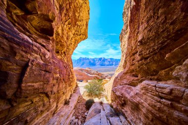 Las Vegas yakınlarındaki Red Rock Kanyonu 'nun çarpıcı güzelliğini keşfedin. Yüksek kızıl kaya duvarlar, seyrek çöl bitkileri ve geniş bir dağ manzarası bu çöl manzarasında maceraya davetiye çıkarıyor..