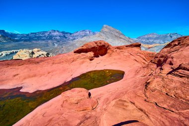 Las Vegas yakınlarındaki Red Rock Kanyonu 'nun dingin güzelliğini keşfedin. Çarpıcı kırmızı kumtaşı oluşumlarına ve berrak mavi gökyüzünün altında sakin su havuzlarına hayret edin. Doğa aşıkları ve maceracılar için mükemmel.