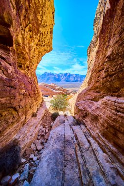 Las Vegas Nevada yakınlarındaki Red Rock Kanyonu 'nun dingin güzelliğini keşfedin. Canlı kaya oluşumları ve geniş çöl manzaraları macera yolculuğu ve doğa meraklıları için mükemmel..