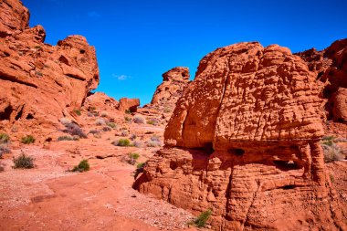 Nevada, Moapa Vadisi 'ndeki Ateş Vadisi' nde açık mavi gökyüzü altında nefes kesici kızıl kaya oluşumlarını keşfedin. Bu ikonik çöl manzarasının doğal güzelliğini ve sükunetini keşfedin..