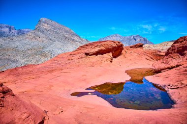 Nevada Red Rock Kanyonu 'nun görkemli güzelliğinin tadını çıkarın. Canlı kırmızı oluşumlar sakin sularla ve berrak gökyüzüyle buluşarak Turtlehead Tepesi yakınlarında sakin bir kaçış sunuyor. Seyahat ve doğa temaları için mükemmel.