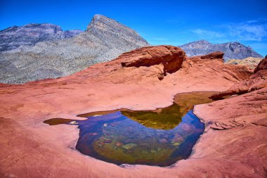 Nevada 'daki Red Rock Kanyonu' nun dramatik güzelliğini keşfedin. Canlı kırmızı kumtaşı gri dağlar ve parlak mavi gökyüzünün altında yansıtıcı bir havuz ile tezat oluşturur. Macera ve seyahat temaları için mükemmel.