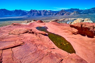 Nevada 'daki canlı Kızıl Kaya Kanyonu' nu keşfedin. Kırmızı kumtaşı oluşumlarının engebeli dağlarla buluştuğu yeri. Sakin bir su havuzu, berrak mavi gökyüzünü yansıtır. Çölleri aydınlatır, sersemletici zıtlıkları vurgular..